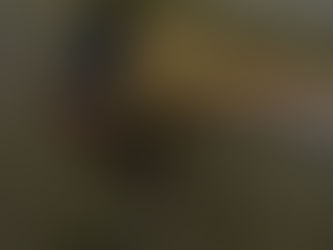 Detalji zločina kod Stanara: Nenad sjekirom ubio ženu i pozvao policiju