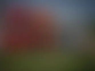 UGROŽEN OPSTANAK PREVOZNIKA Ako stane transport, staje i ekonomija BiH