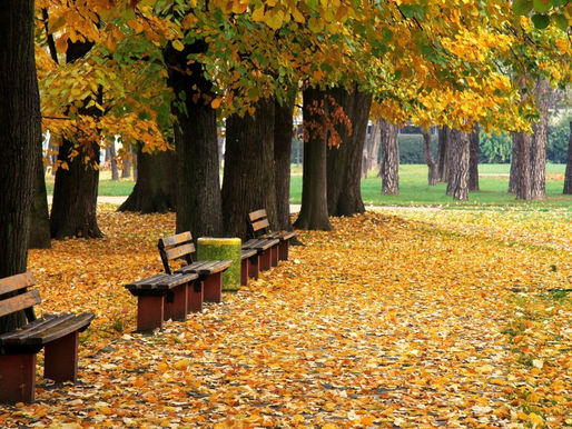 Kakvo nas vrijeme očekuje u toku ove sedmice