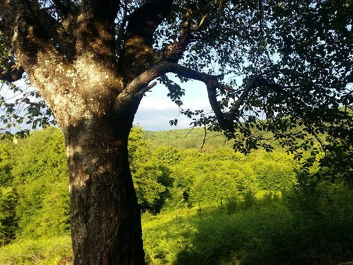 Evo kakvo nas vrijeme očekuje danas