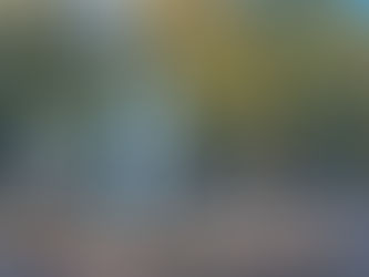 Iznenadni preokret: Nestao zeleni tepih sa ŠTIPALJKE u Banjaluci za samo 48 sati