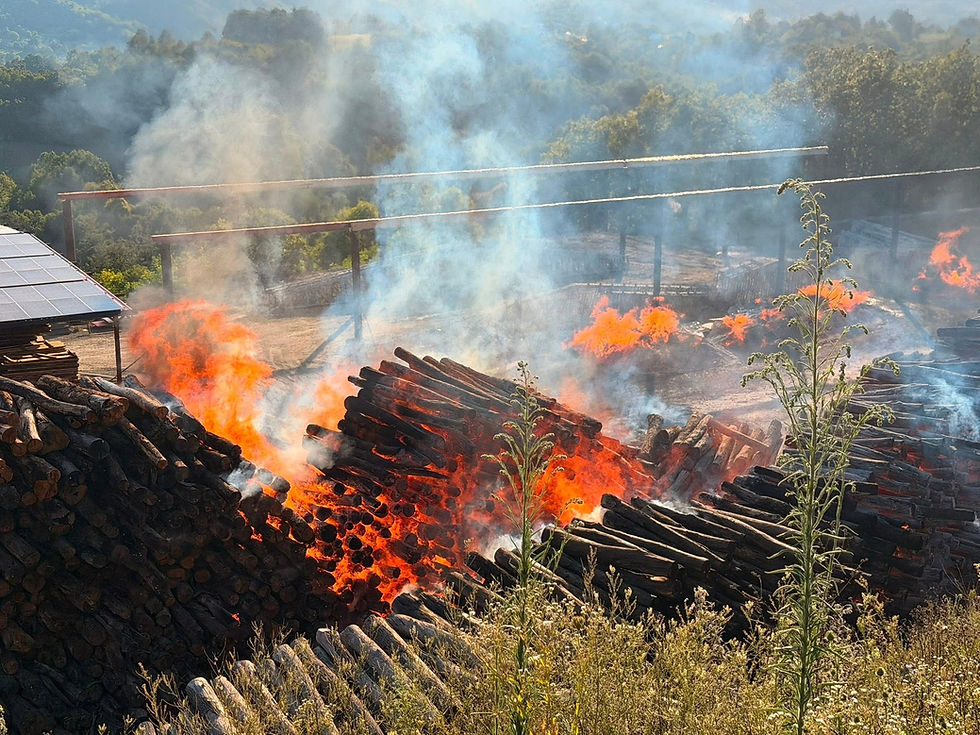 (FOTO) PRVE FOTOGRAFIJE POŽARA U TESLIĆU Gori furnir, vatra se širi velikom brzinom, vatrogasci stigli iz 3 grada