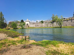 Ko je kriv za sječu stabala? Vipotnik traži odgovornost