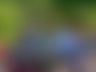 Uz sladoled glume ,,složnu braću''