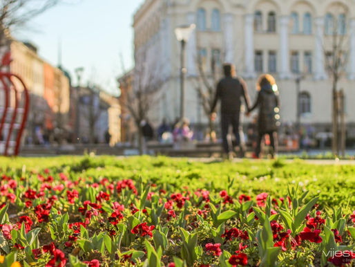 Danju i do 26 stepeni: Sutra toplo i manje vjetrovito