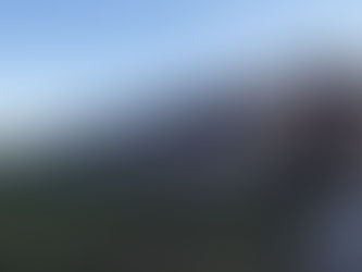 O neispunjenim obećanjima: Zašto je lakše ući u Alkatraz nego u banjalučki azil za pse