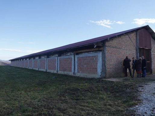 O neispunjenim obećanjima: Zašto je lakše ući u Alkatraz nego u banjalučki azil za pse