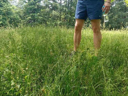 "Ovo je sramota” Građani ogorčeni, trava na Trešnjiku DO KOLJENA (FOTO)