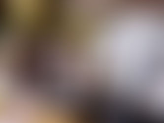 Zabranjen rad pojedinim ugostiteljima u Banjaluci zbog proslave Dana Republike