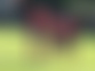 Dva igrača Borca u reprezentaciji do 16 godina