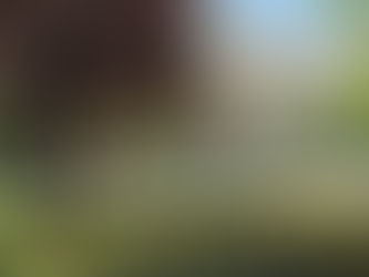 Kraj radne sedmice donosi sunce i ugodne temperature