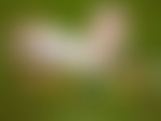 Najradosnije vijesti: Banjaluka bogatija za šest beba