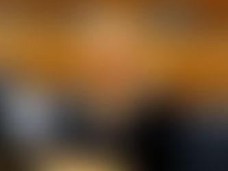 Novaković-Bursać: Poslanici iz Srpske neće prisustvovati Šmitovom obraćanju