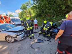 Nesvakidašnja intervencija u Banjaluci: Vatrogasci spasili ptića (Foto)