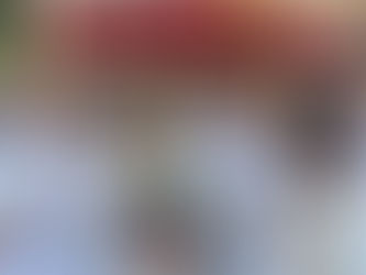 U centru grada okupljeni vjernici: Održava se Spasovdanska litija FOTO