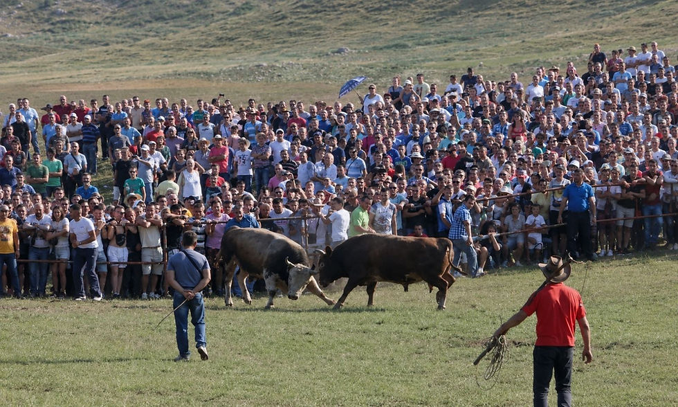 Objavljen program „Kočićevog zbora“: Svečano otvaranje sutra u Banjaluci