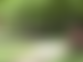 Sutra ponovo vrućina: Temperatura do vrtoglavih 38 stepeni širom BiH