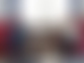 Cvijanović-Tudik: Saradnja Francuske i BiH dobra