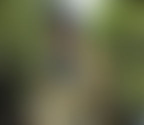 Đajić čestitao Dan Vojske Republike Srpske