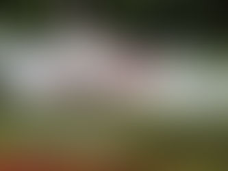 Kolike su kazne ako ispršćete pješaka na ulici