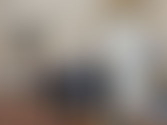 Članovi Predsjedništva BiH sastali se sa Varheljijem