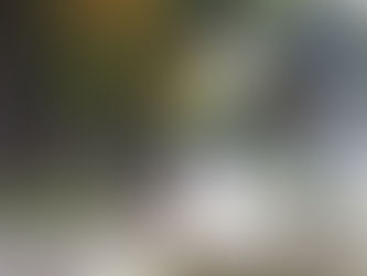 Nakon maglovitog jutra, očekuje nas ovakav dan