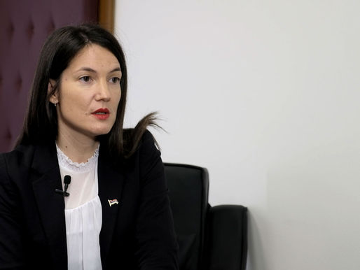 Dijaspora rekla NE Jeleni Trivić: Ko ju je pokušao uvesti na manifestaciju u Kranju?