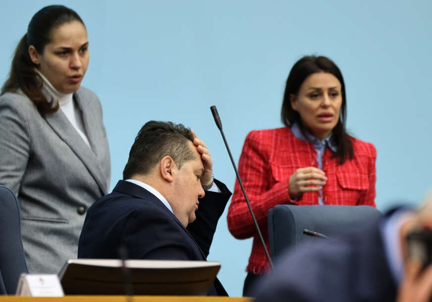 Anja Ljubojević nije jedina: Ko je sve imao udes sa službenim vozilom NSRS u zadnje 4 godine