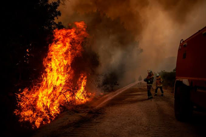 KAZNA ZATVORA DO 15 GODINA Zbog sumnje da su izazvale požare uhapšene 4 osobe