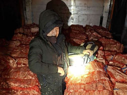 Drama na granici: U kamionu među drvima pronađeno 38 migranata VIDEO