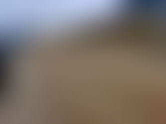 Cesta ispred Delte kao oranica