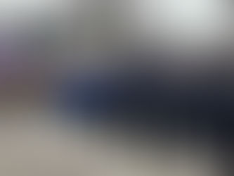 Delegacija Srba sa Kosova i Metohije na proslavi Dana Republike