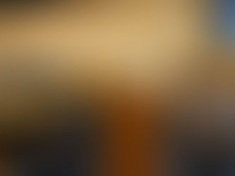 OHR-u nije dozvoljeno da prisustvuje sjednici Narodne skupštine