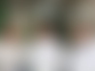 Stevandić stao u Đajićevu odbranu: Nije narko-diler, blato ne pomaže