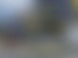 Putin na terasi, Tramp preko puta: Banjalučki Šargovac ima svoju “diplomatiju” FOTO