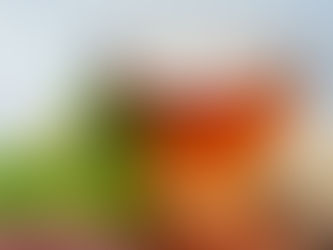 Ovo su svi benefiti čaja od koprive