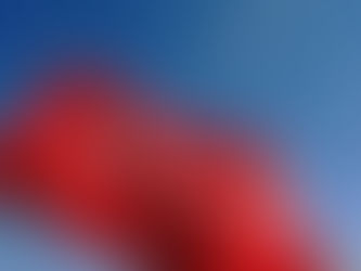 SNSD: Borenović i Crnadak nastavljaju starim stazama ulizivanja strancima