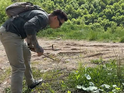Šokantan snimak iz BiH: Golim rukama hvata smrtonosnog poskoka! VIDEO