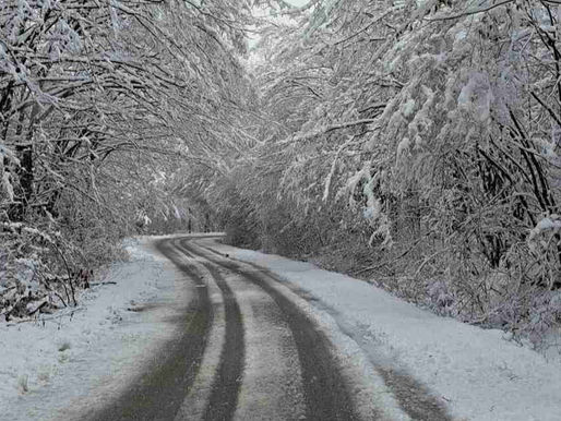 U Donjim Kolima putevi neprohodni - Vise kablovi sa bandera, grane pod snijegom smanjuju vidljivost