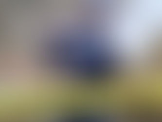 Uhapšen muž koji je osumnjičen za zločin: Žena ubijena sjekirom u Stanarima