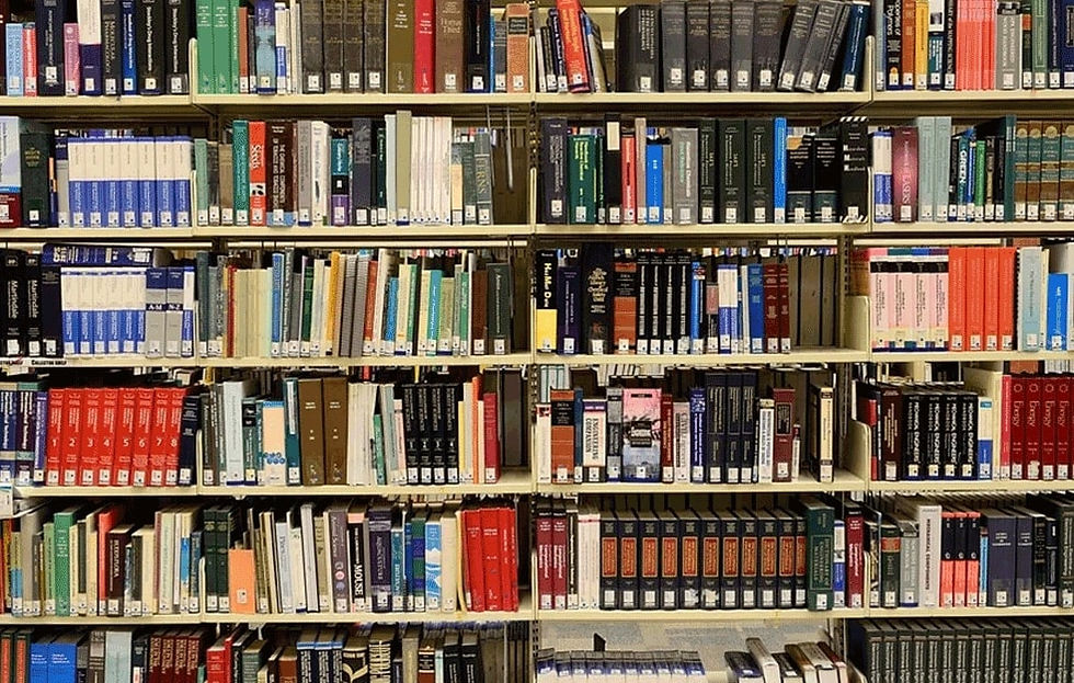 U širem izboru za Ninovu nagradu 39 knjiga, među njima i roman Banjalučanke Slađane Nine Perković