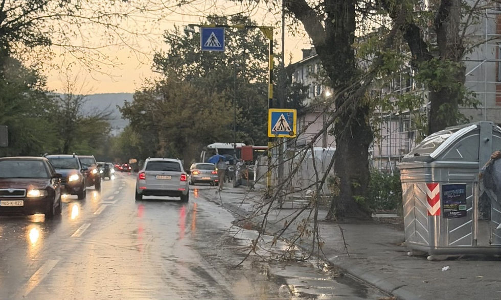 Iznenadni pljusak napravio problem u banjalučkom naselju: Oborena grana otežava prolaz