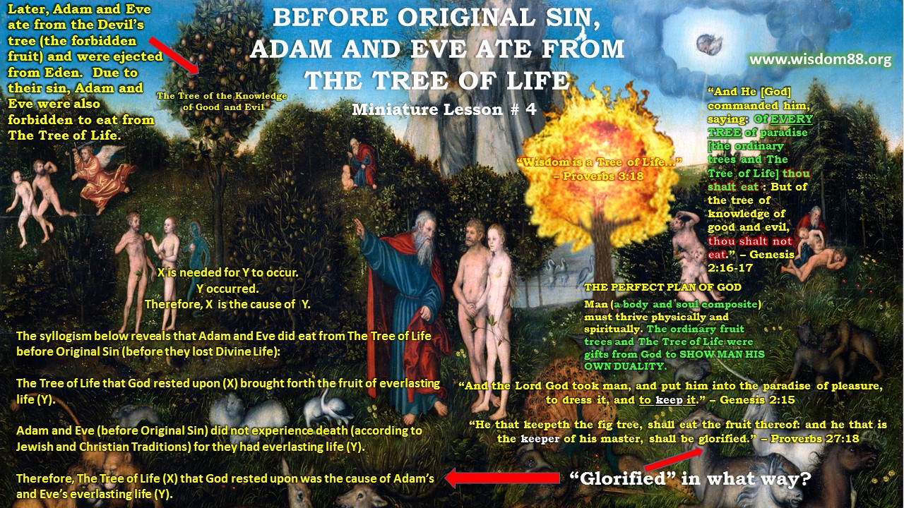 Where did Adam and Eve sin Where did Adam and Eve sin