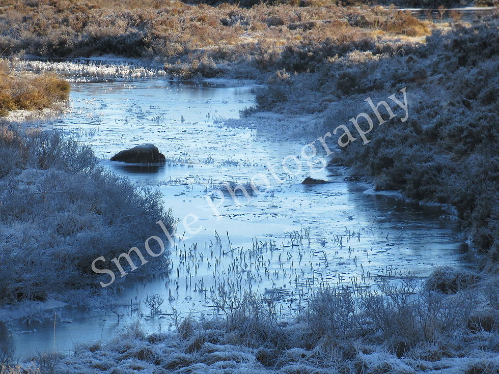 Frozen river