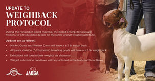 Updates to the Junior Weigh Back Protocol