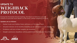 Updates to the Junior Weigh Back Protocol