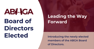 Leading the Way Forward