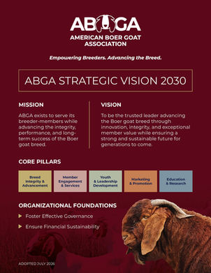 Introducing ABGA’s Strategic Vision 2030