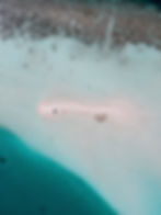 Sandbank