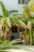 Dhiffushi Inn reception